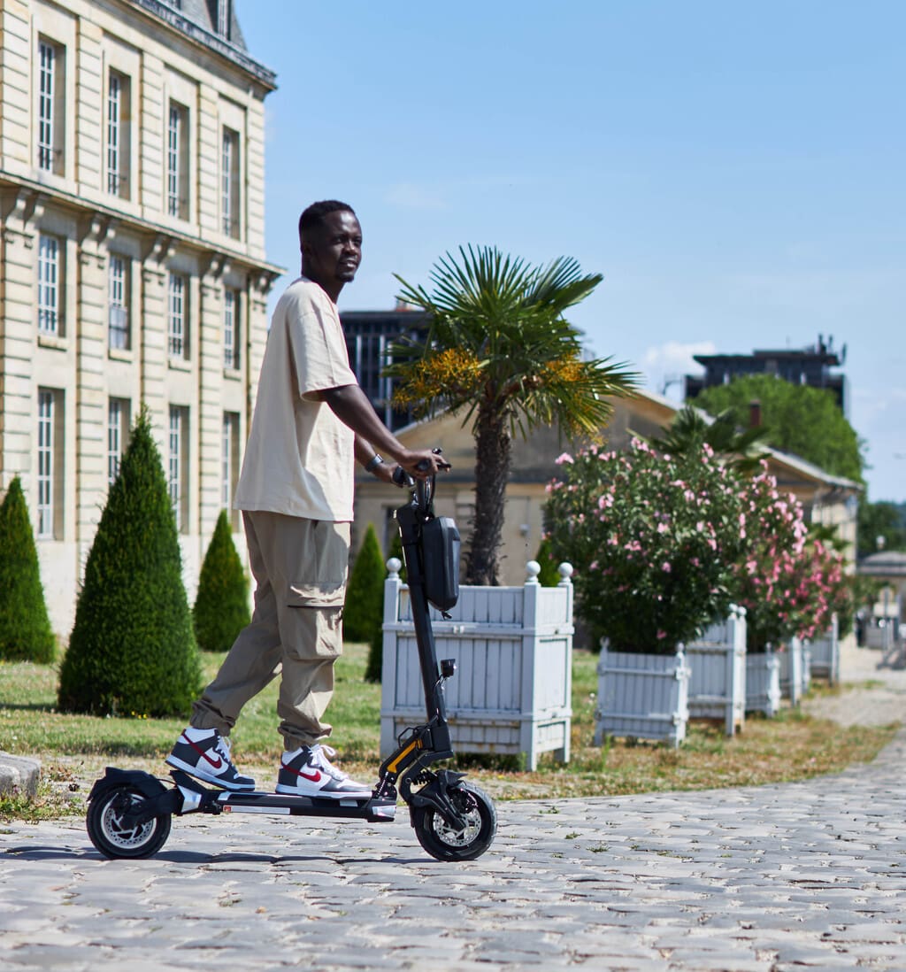Trottinette Électrique Dualtron Togo Limited : Citadine et Puissante