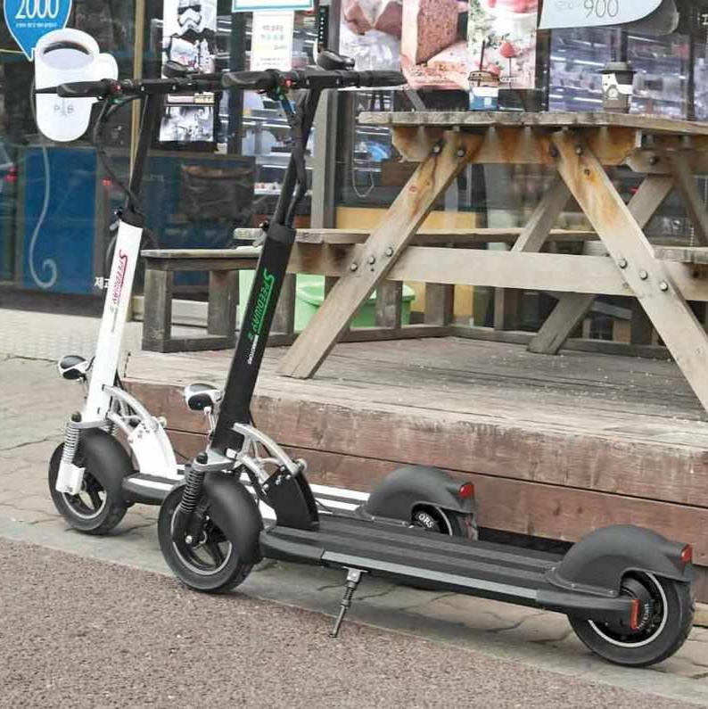 Trottinette Électrique Speedway 4 : Performance et Grande Autonomie