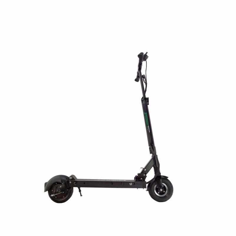 Trottinette Électrique Speedway Mini 4 Pro : Stable et Rapide