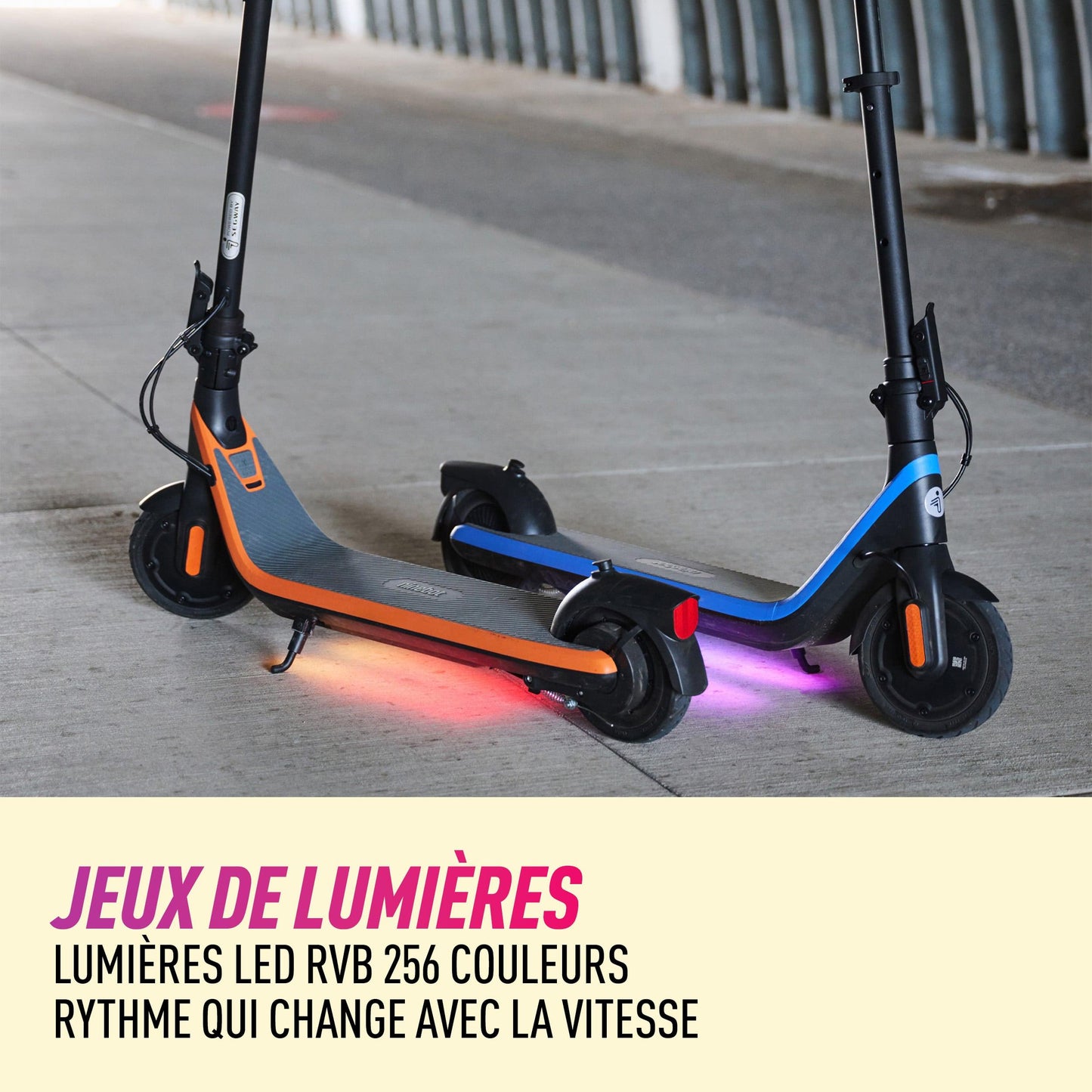 Trottinette Électrique Enfant Ninebot C2 by Segway : Petite et Légère