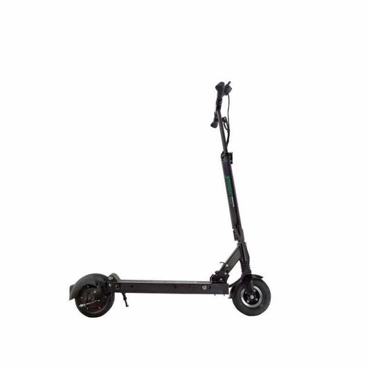 Trottinette Électrique Speedway Mini 4 Pro : Stable et Rapide